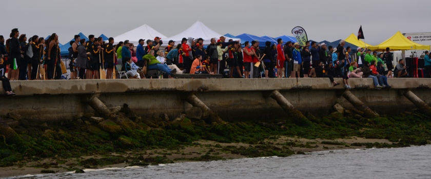 Dragon boat race spectators
